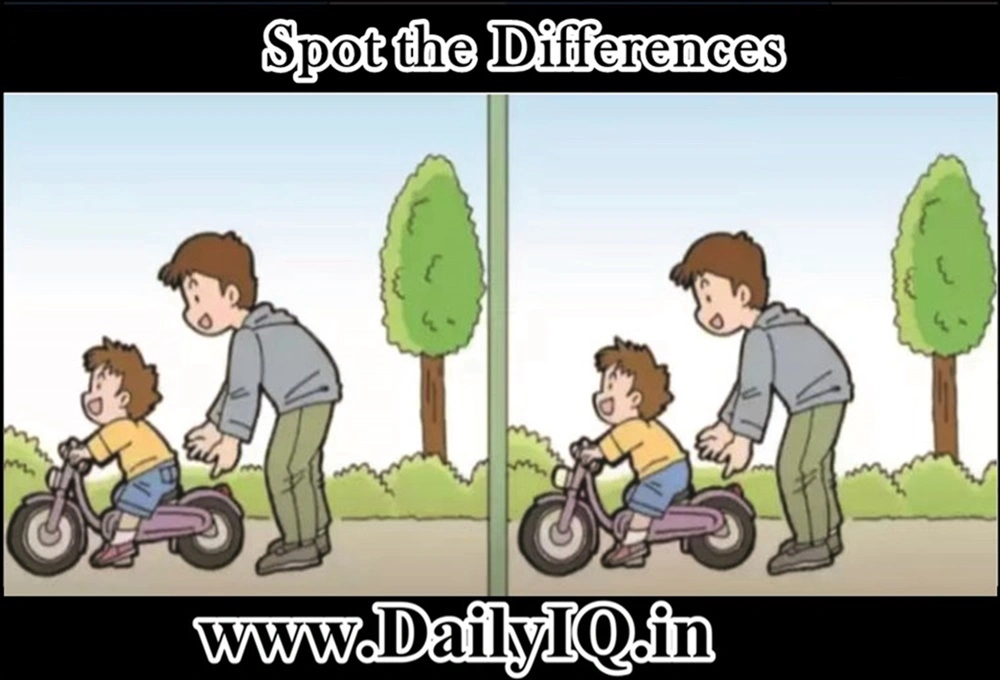 The Brain Teasers Spot The Differences Between The Two Pictures